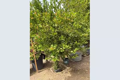 943 J Street, Brawley, CA 92227 - Photo 37