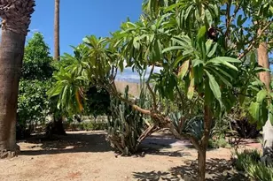 371 Ave Andorra, Cathedral City, CA 92234 - Photo 3