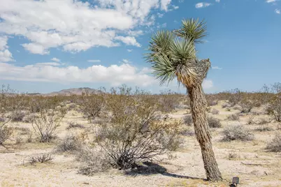 61231 Moonlight Mesa Street, Joshua Tree, CA 92252 - Photo 19