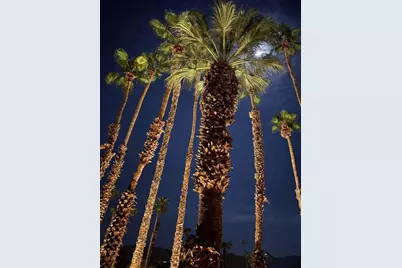 2700 E Mesquite Avenue #A2, Palm Springs, CA 92264 - Photo 21