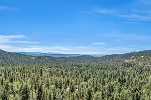 25126 Cougar Rd, Idyllwild, CA 92549 - Photo 3