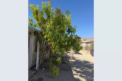 65848 Buena Vista Avenue, Desert Hot Springs, CA 92240 - Photo 27