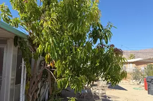 65848 Buena Vista Ave, Desert Hot Springs, CA 92240 - Photo 27
