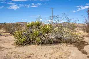1959 Yetters Ln, Landers, CA 92285 - Photo 21