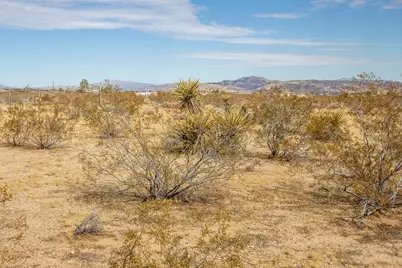 1959 Yetters Lane, Landers, CA 92285 - Photo 51