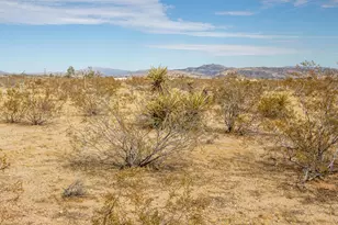 1959 Yetters Ln, Landers, CA 92285 - Photo 51