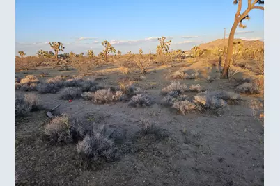 010 Yucca Mesa Road, Yucca Valley, CA 92284 - Photo 5