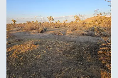 020 Yucca Mesa Road, Yucca Valley, CA 92284 - Photo 5