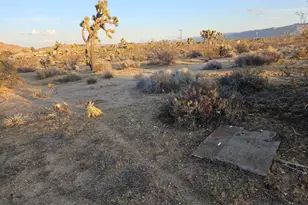 020 Yucca Mesa Rd, Yucca Valley, CA 92284 - Photo 1