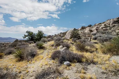 205 Bandera Road, Yucca Valley, CA 92284 - Photo 7
