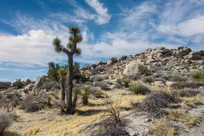 205 Bandera Road, Yucca Valley, CA 92284 - Photo 3