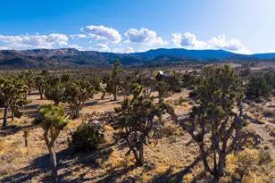 1102 Burlington Rd, Pioneertown, CA 92268 - Photo 63