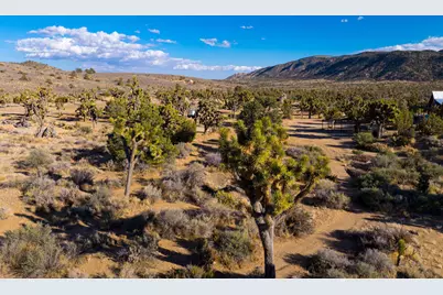1102 Burlington Road, Pioneertown, CA 92268 - Photo 65