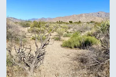 135 Bardell Road, Morongo Valley, CA 92256 - Photo 3