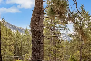 53340 Tollgate Rd, Idyllwild, CA 92549 - Photo 51