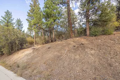 432 Woodcreek Drive, Big Bear City, CA 92314 - Photo 3