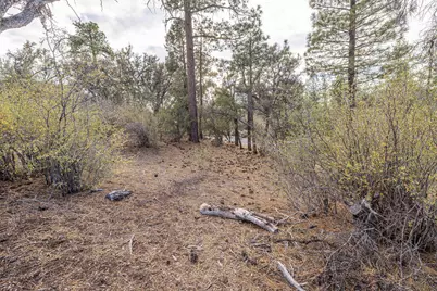 432 Woodcreek Drive, Big Bear City, CA 92314 - Photo 9