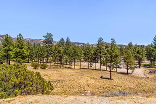 36350 Butterfly Peak Rd, Mountain Center, CA 92561 - Photo 57