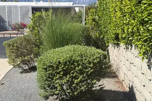 73302 Palm Greens, Palm Desert, CA 92260 - Photo 35