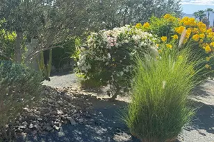 73302 Palm Greens, Palm Desert, CA 92260 - Photo 3