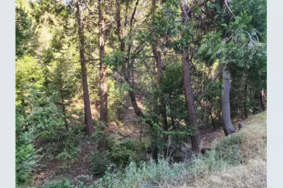 0 Hook Creek (Multiple Lots) Road, Cedar Glen, CA 92321 - Photo 9