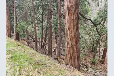 0 Hook Creek (Multiple Lots) Road, Cedar Glen, CA 92321 - Photo 7