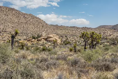 101 Hondo Street, Pioneertown, CA 92268 - Photo 9