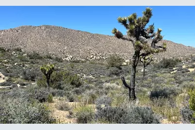 101 Hondo Street, Pioneertown, CA 92268 - Photo 19
