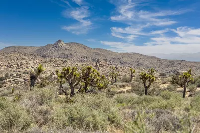101 Hondo Street, Pioneertown, CA 92268 - Photo 3