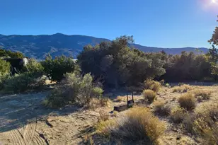 0 Zurich Ave, Mountain Center, CA 92561 - Photo 1