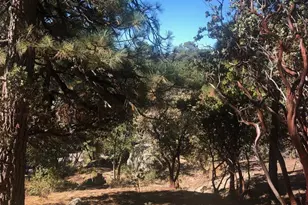 0 Northridge, Idyllwild, CA 92549 - Photo 1