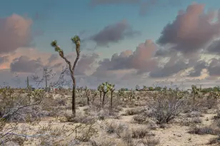 1435 Jemez Trail, Yucca Valley, CA 92284 - Photo 1