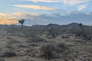 476 Ripon Ave, Yucca Valley, CA 92284 - Photo 1