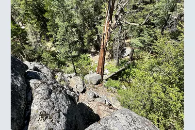 0 Forest Route 4S02, Idyllwild, CA 92549 - Photo 1
