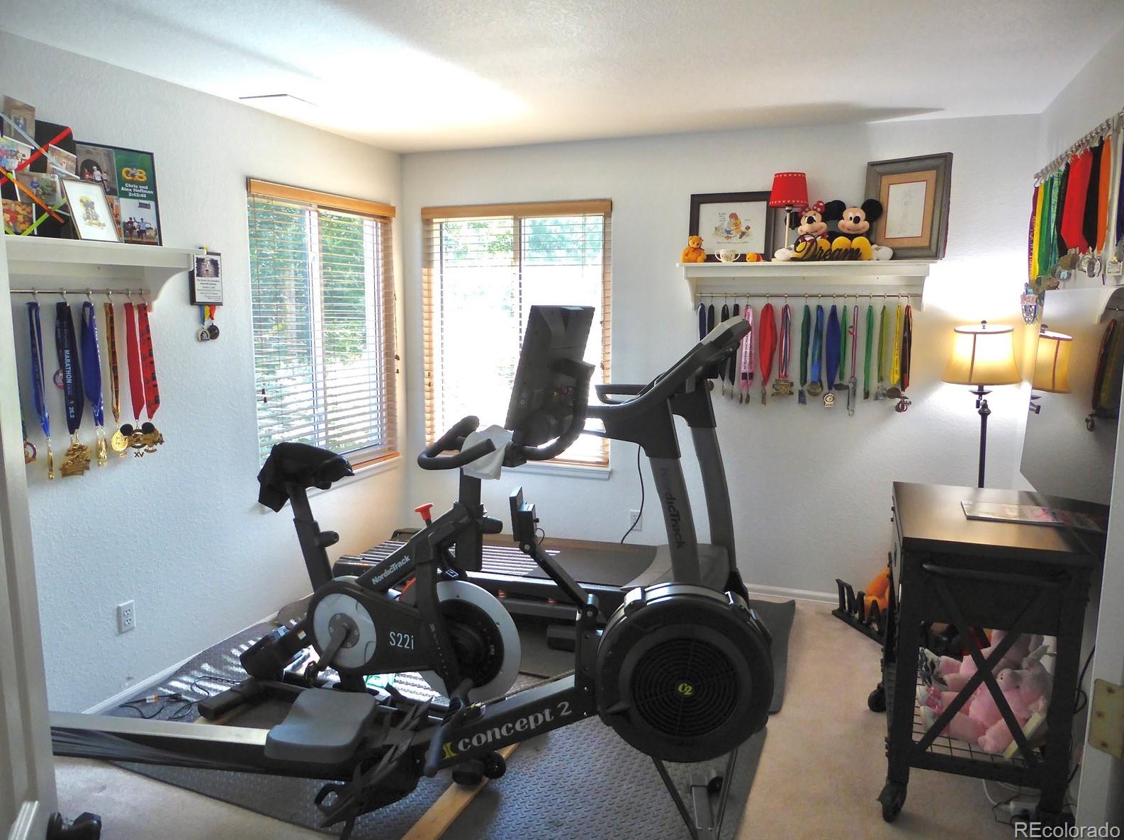 1663 Marsh Hawk Cir, Castle Rock CO  80109-9593 exterior