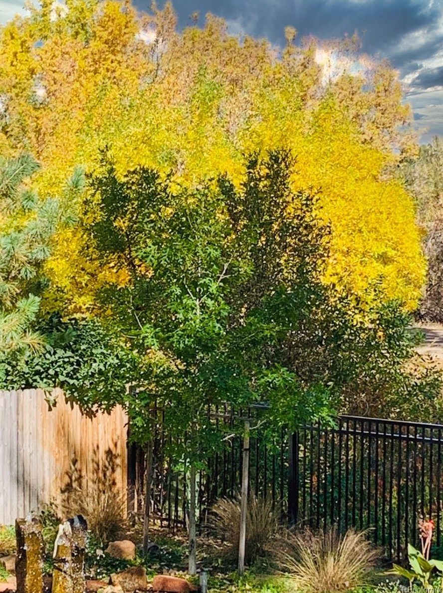 6131 Marion Way, Littleton CO 80121-2619 exterior