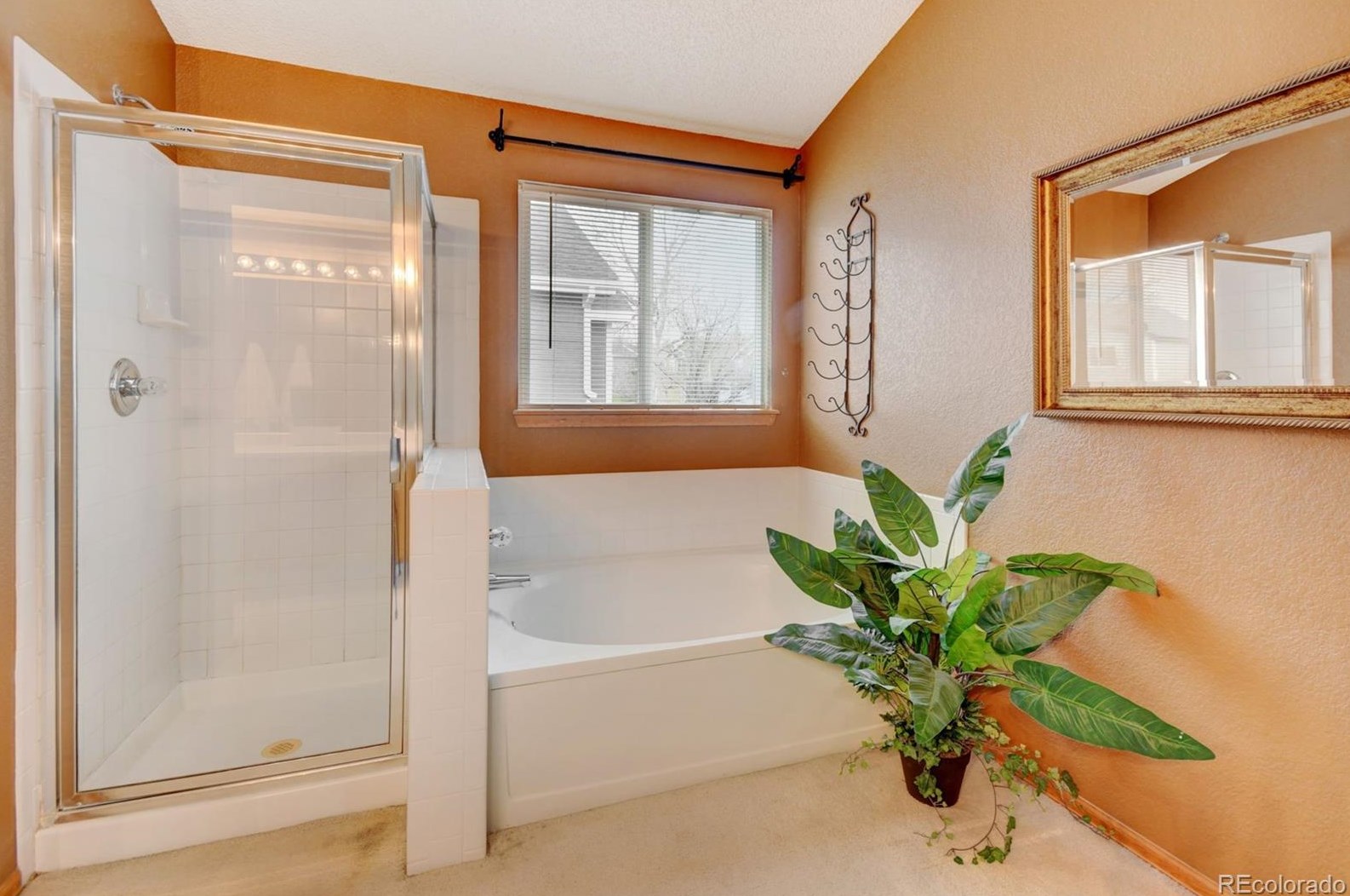 2337 Hyacinth Rd, Littleton CO 80129-4697 exterior