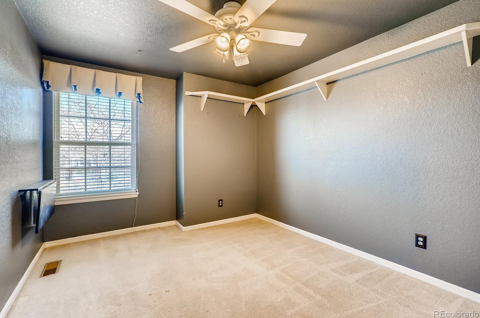 7125 Mtn Brush Cir, Littleton CO 80120 exterior