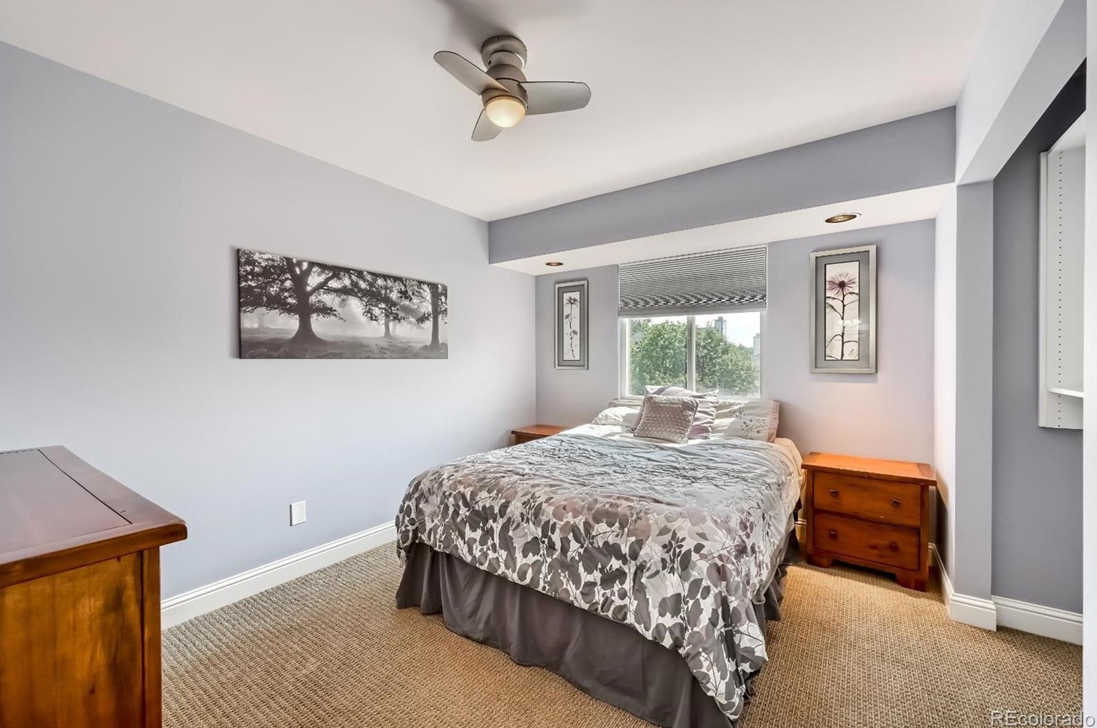 9251 Stargrass Cir, Littleton CO 80126-2262 exterior