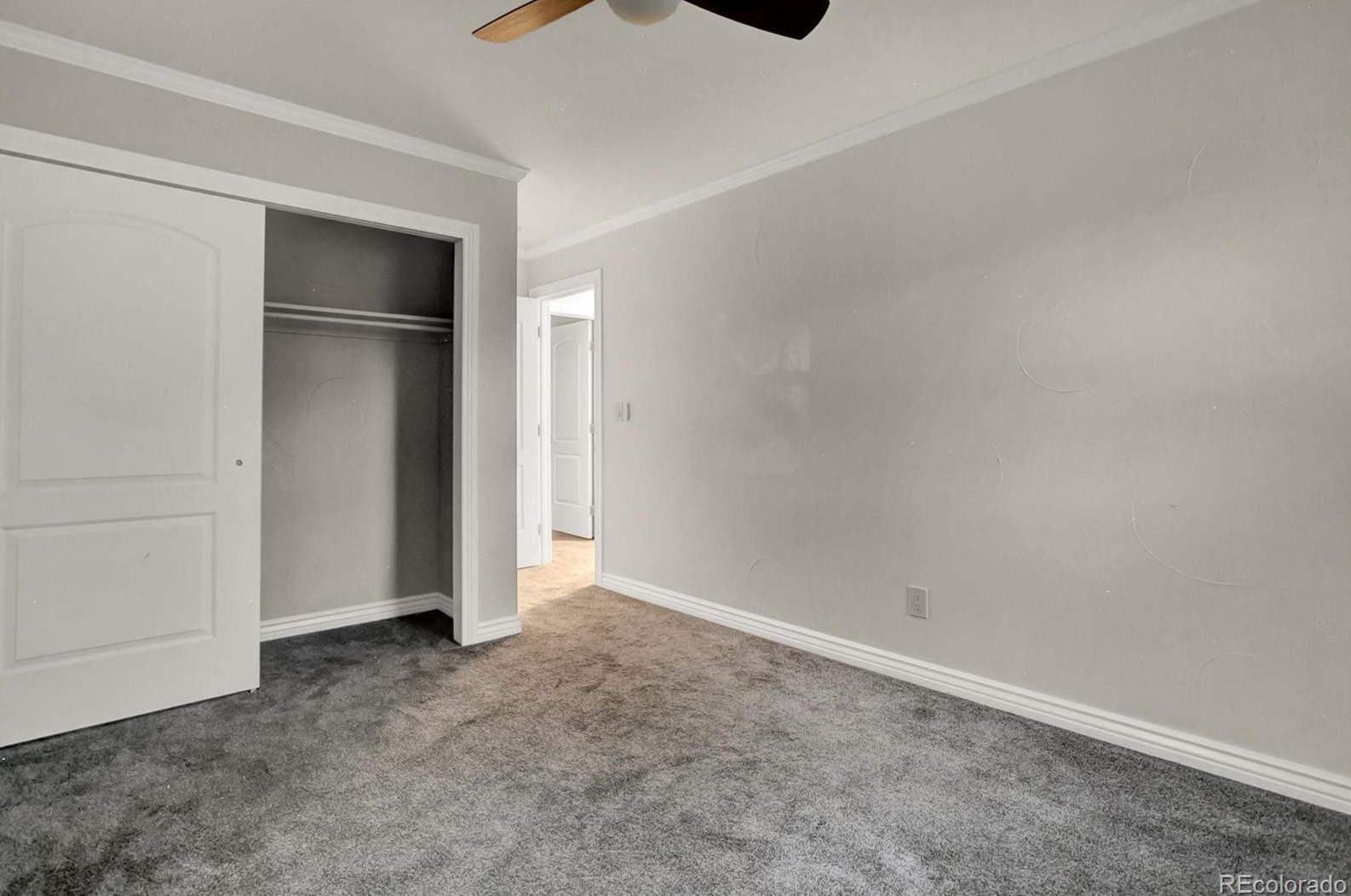 3209 Serendipity Cir, Colorado Springs CO 80917-3040 exterior