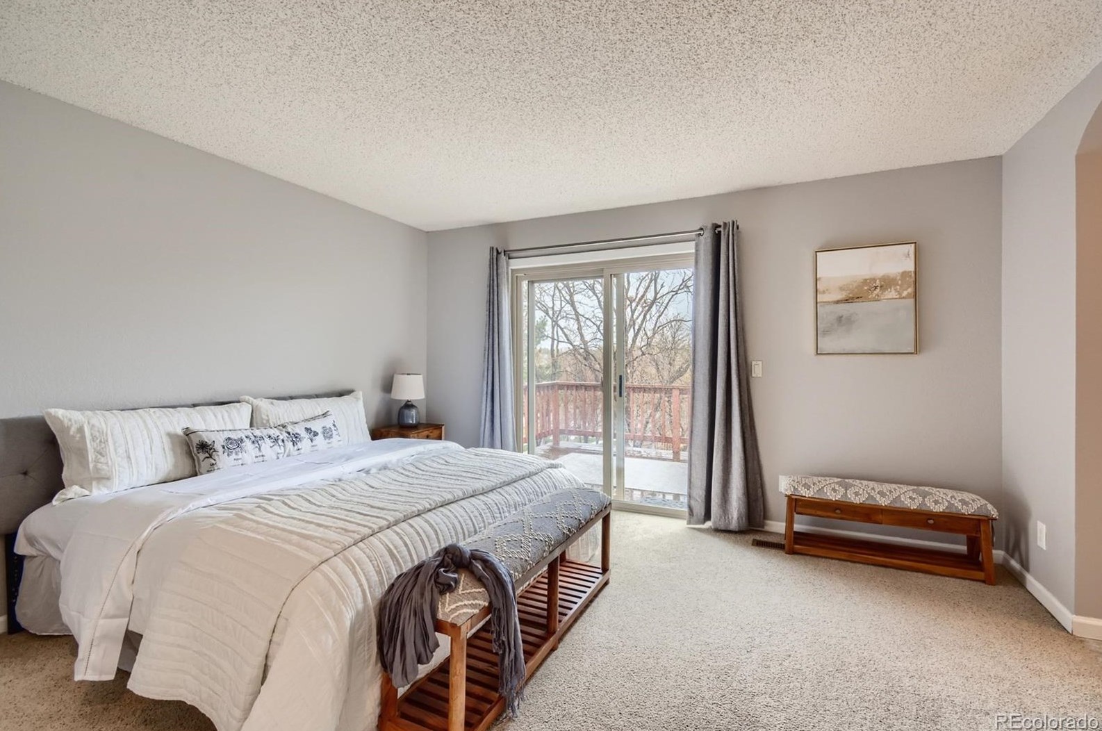 321 Mtn Cloud Cir, Littleton CO 80126-2213 exterior