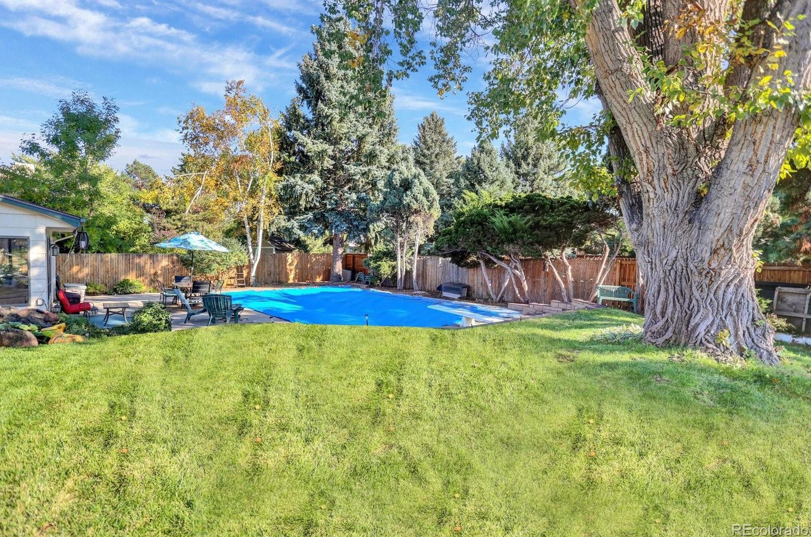 11166 78th Dr, Arvada CO  80005-3424 exterior