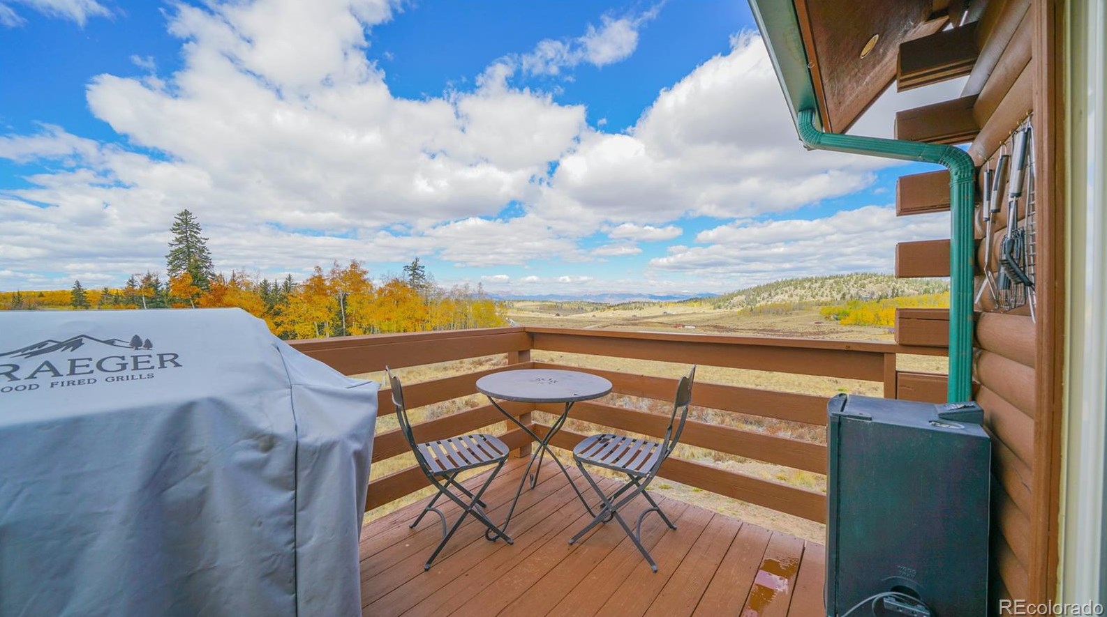 1807 Kiowa St, Fairplay, CO 80432