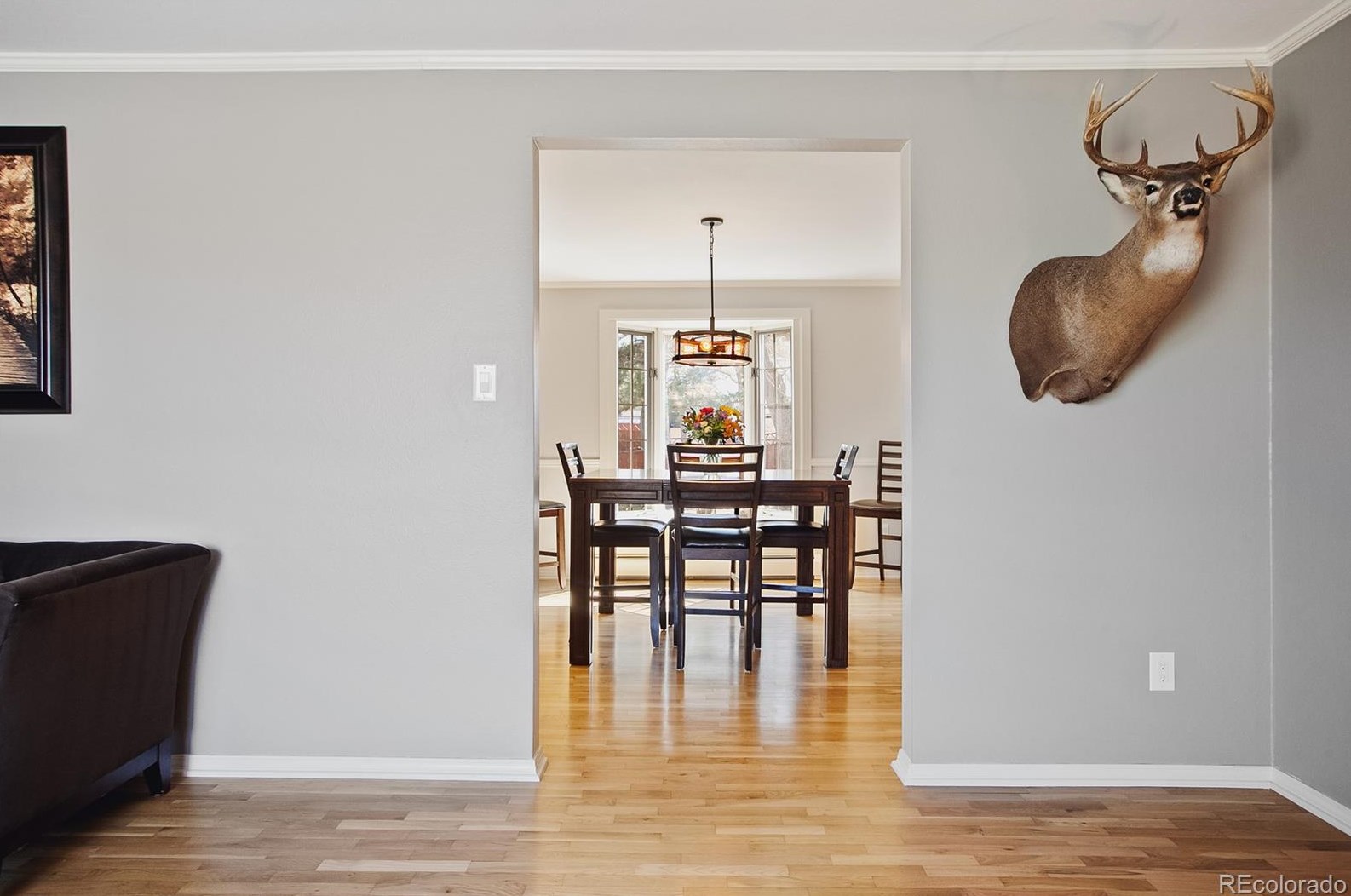 6374 Rowland Ave, Littleton CO 80128-4578 exterior