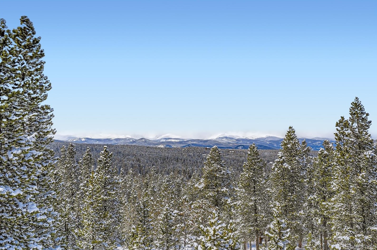 902 Karlann Dr, Arvada CO  80422-4067 exterior