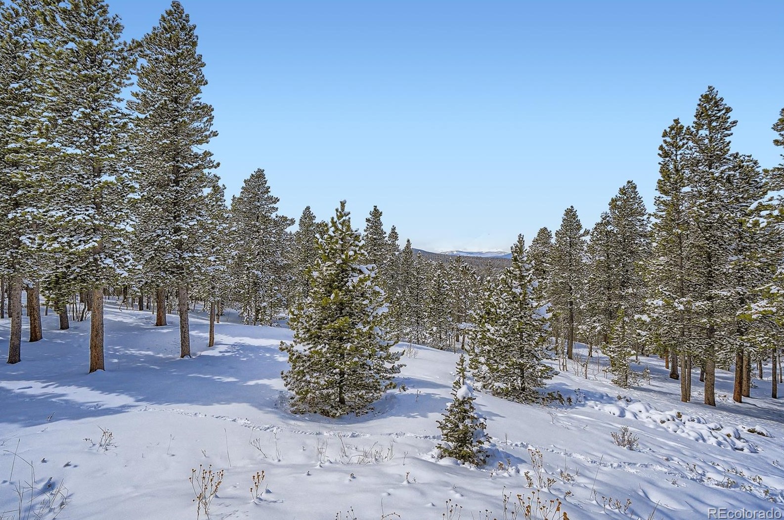 902 Karlann Dr, Arvada CO  80422-4067 exterior