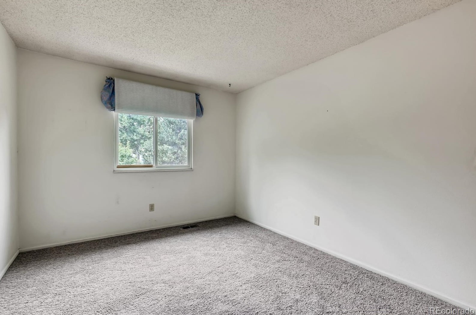 7321 Dudley Ct, Littleton CO 80128-4226 exterior