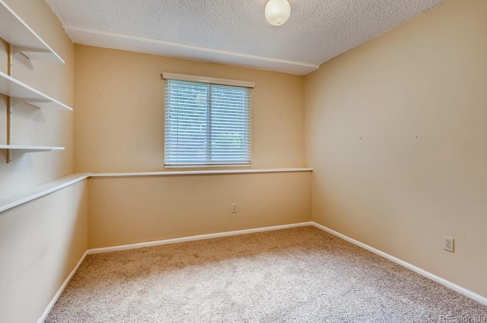 7321 Dudley Ct, Littleton CO 80128-4226 exterior