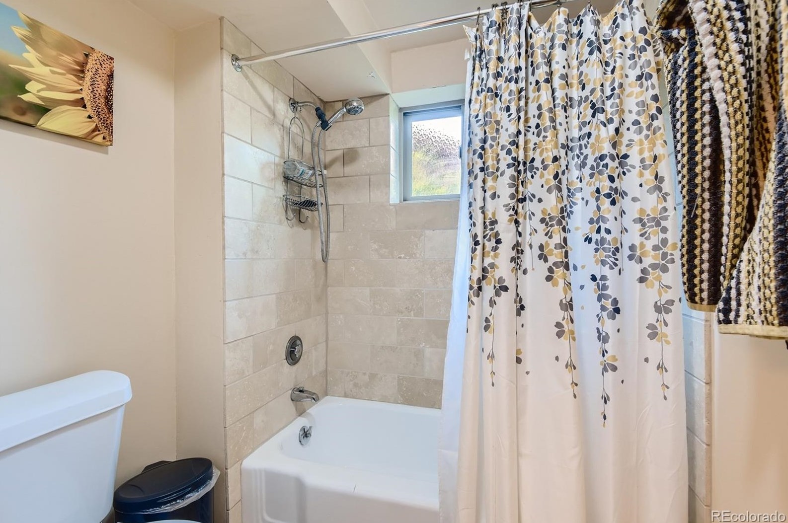 245 Delaware Cir, Littleton CO 80120-4224 exterior