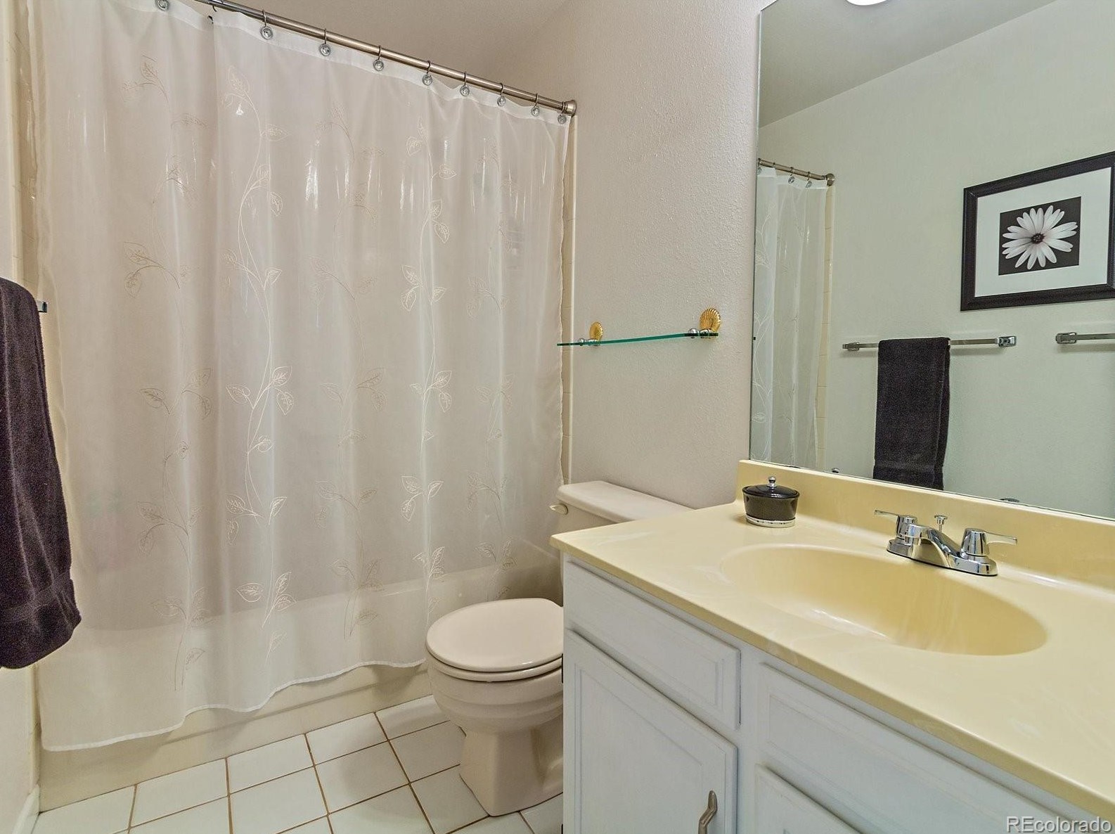 6571 Calhoun Pl, Littleton CO 80123-3520 exterior